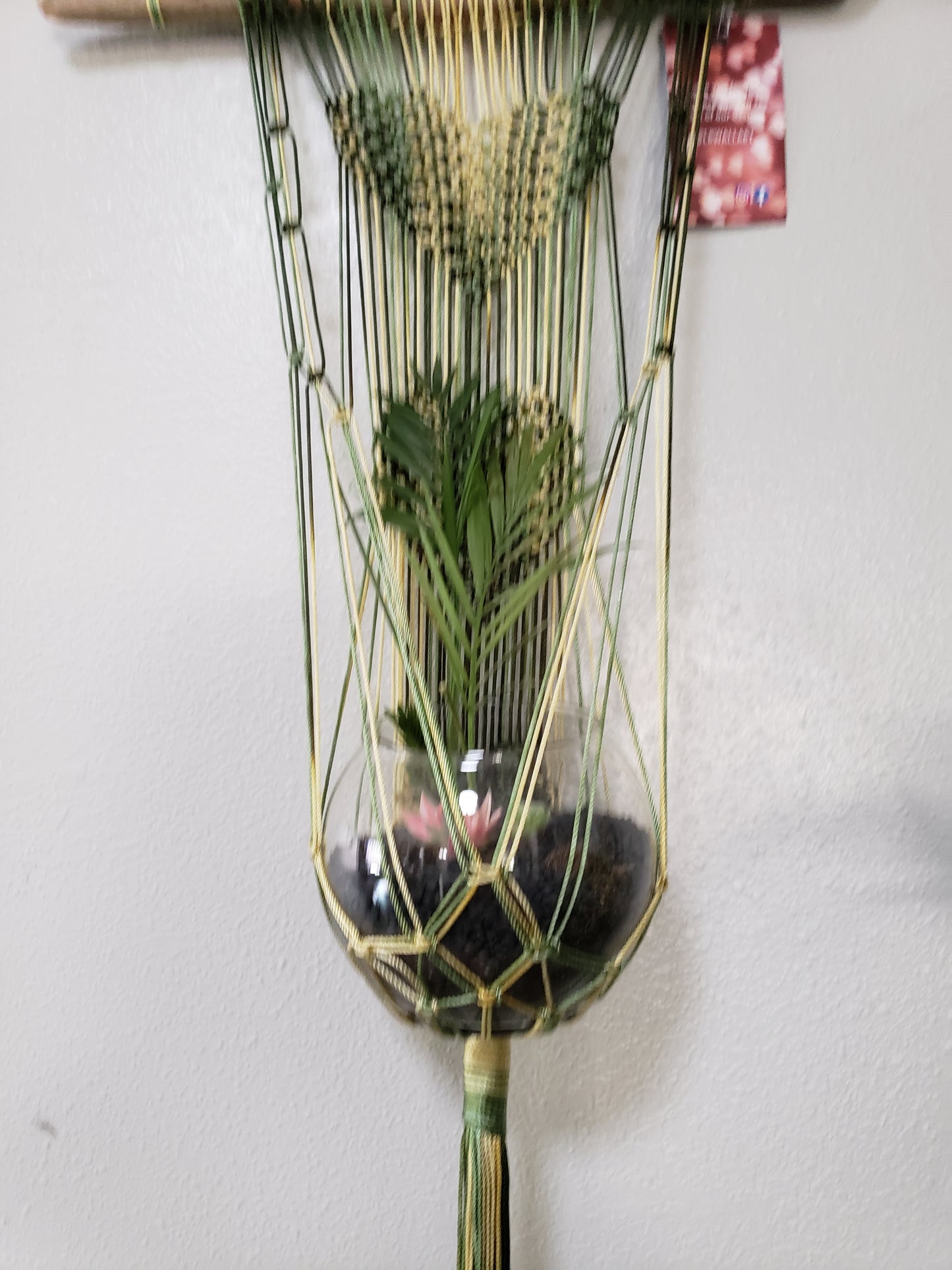 Multi Green/Yellow Heart macrame plant hanger