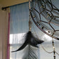 12" Black and Silver Dream Catcher