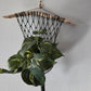 Handcrafted Macrame Nylon Plant Hanger with Driftwood & Decorative Greenery