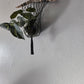 Handcrafted Macrame Nylon Plant Hanger with Driftwood & Decorative Greenery
