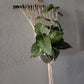 Handcrafted Macrame Nylon Plant Hanger with Driftwood & Decorative Greenery