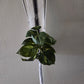 Handcrafted Macrame Nylon Plant Hanger with Driftwood & Decorative Greenery