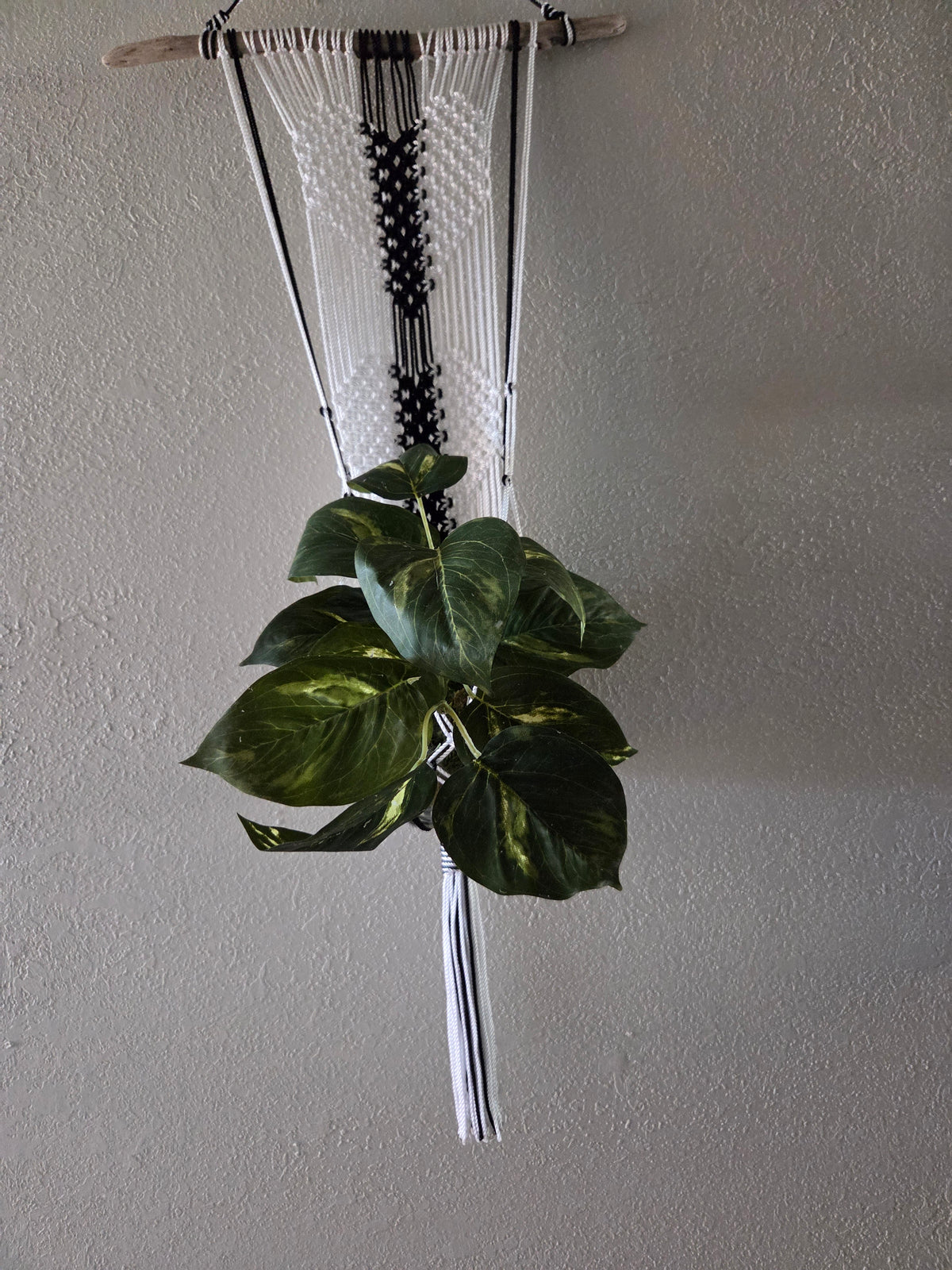 Handcrafted Macrame Nylon Plant Hanger with Driftwood & Decorative Greenery