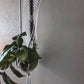 Handcrafted Macrame Nylon Plant Hanger with Driftwood & Decorative Greenery