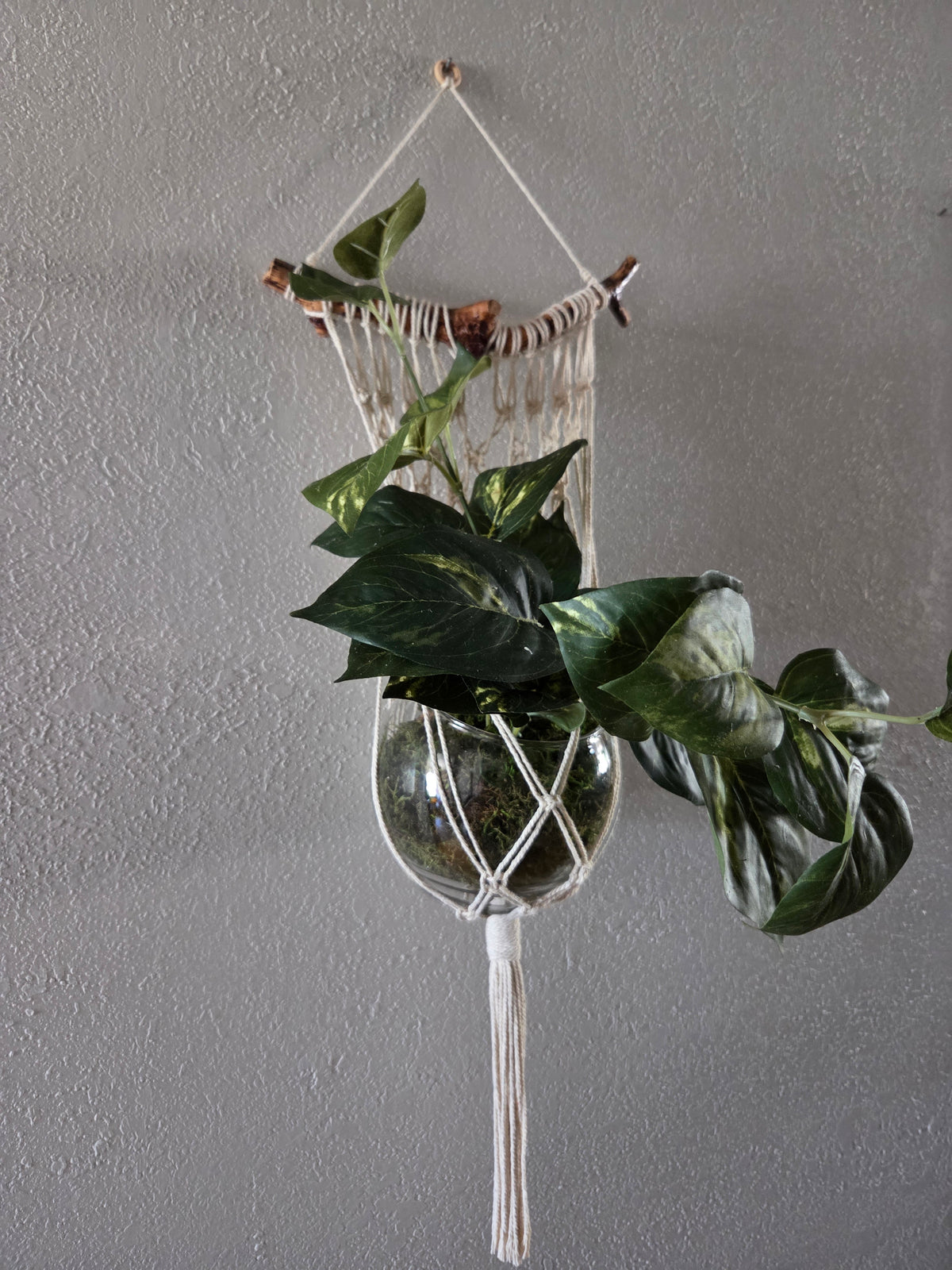 Handcrafted Macrame Cotton Plant Hanger with Driftwood & Decorative Greenery
