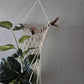 Handcrafted Macrame Cotton Plant Hanger with Driftwood & Decorative Greenery