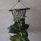 Handcrafted Macrame Cotton Plant Hanger with Driftwood & Decorative Greenery