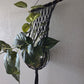 Handcrafted Macrame Cotton Plant Hanger with Driftwood & Decorative Greenery
