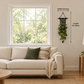 Revised black cotton plant hanger at a smaller scale beside a living-room window