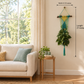 Turquoise and yellow plant hanger in a wider living room beside a window, labeled 27 inches long and 9½ inches wide